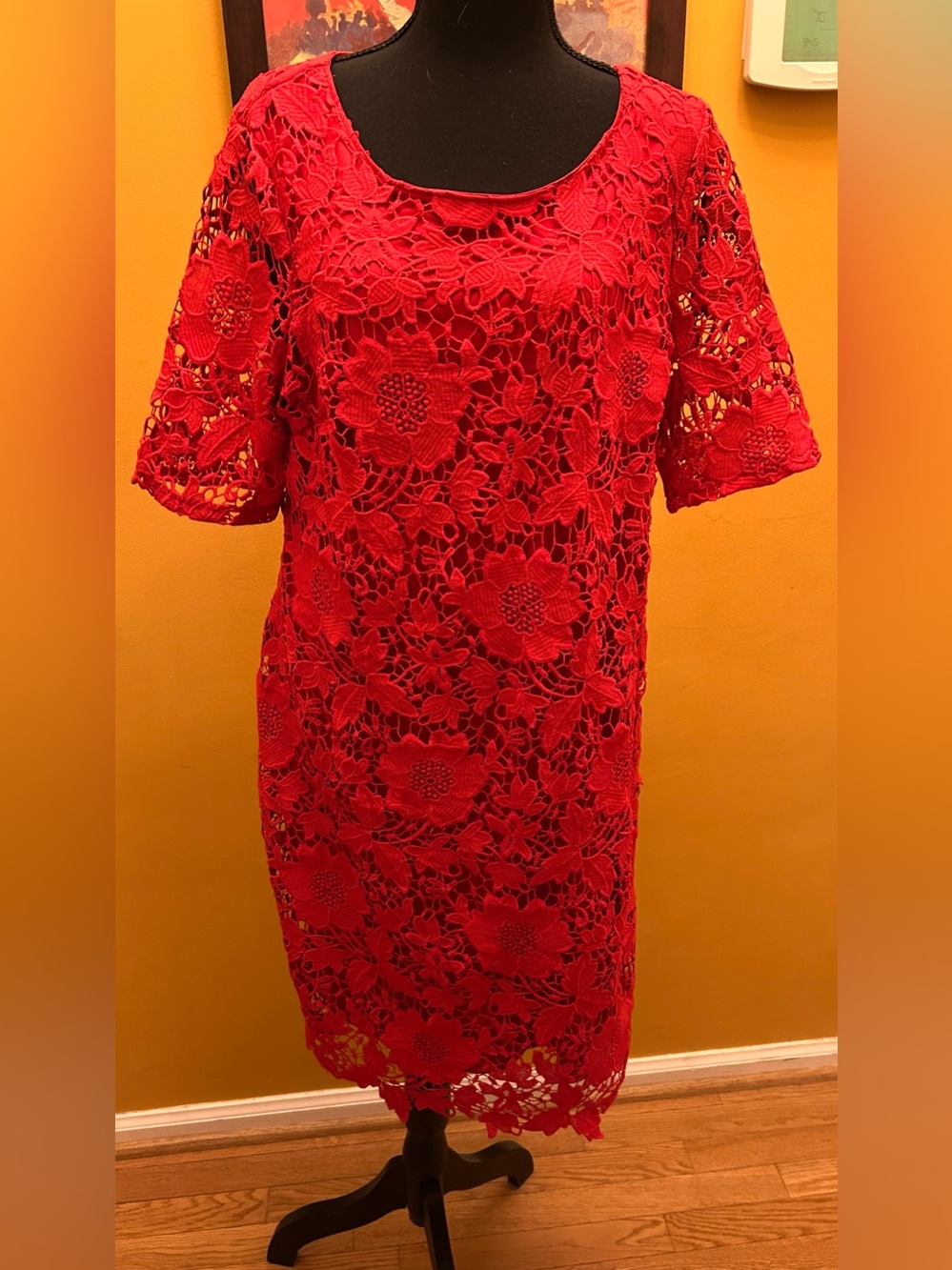 Trulli Red Lace Overlay Dress Size 12